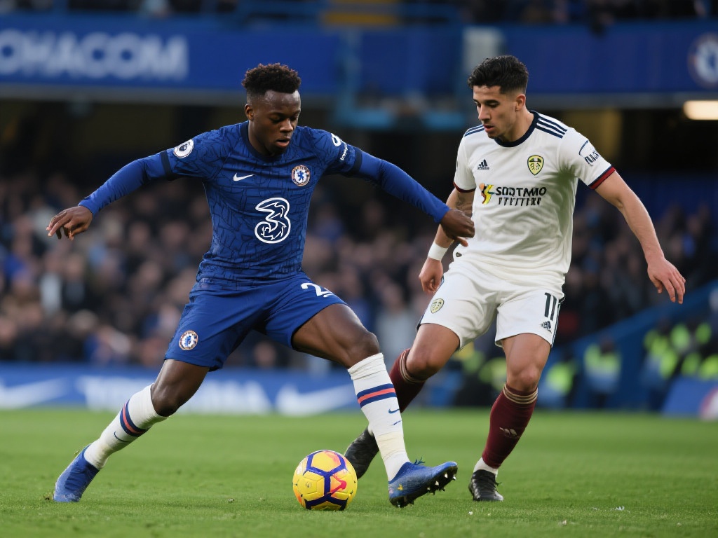 织各类体育 织各类体育